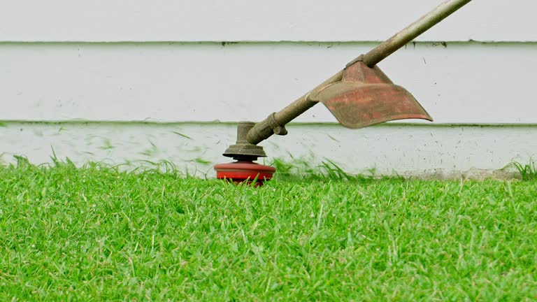 Best Storm Damage Tree Cleanup  in Cairo, IL